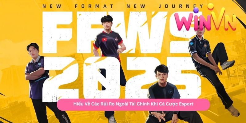 Hiểu Về Các Rủi Ro Ngoài Tài Chính Khi Cá Cược Esport