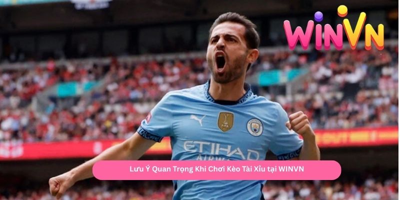 Lưu Ý Quan Trọng Khi Chơi Kèo Tài Xỉu tại WINVN