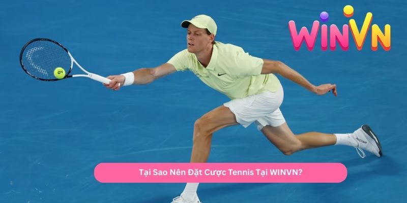 Tại Sao Nên Đặt Cược Tennis Tại WINVN