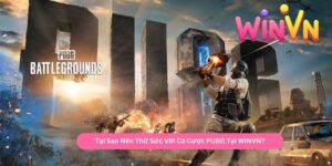Tại Sao Nên Thử Sức Với Cá Cược PUBG Tại WINVN
