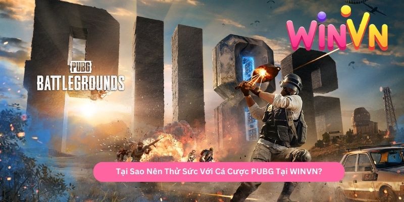 Tại Sao Nên Thử Sức Với Cá Cược PUBG Tại WINVN